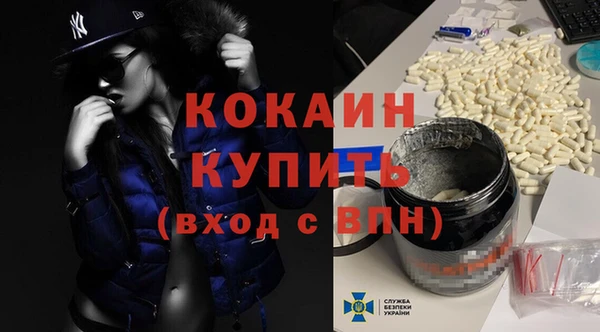 СК Бронницы