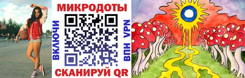 Псилоцибиновые грибы Cubensis  Калининград 